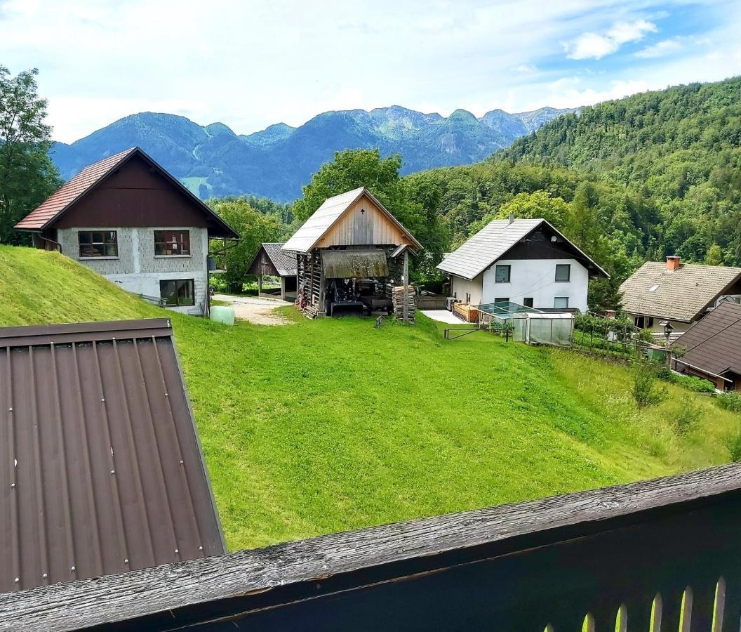 בוהין Alpine Village Home מראה חיצוני תמונה
